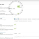 theme_options