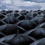 umbrella