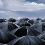 umbrella