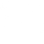 world-map