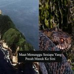 gambar feature image ular