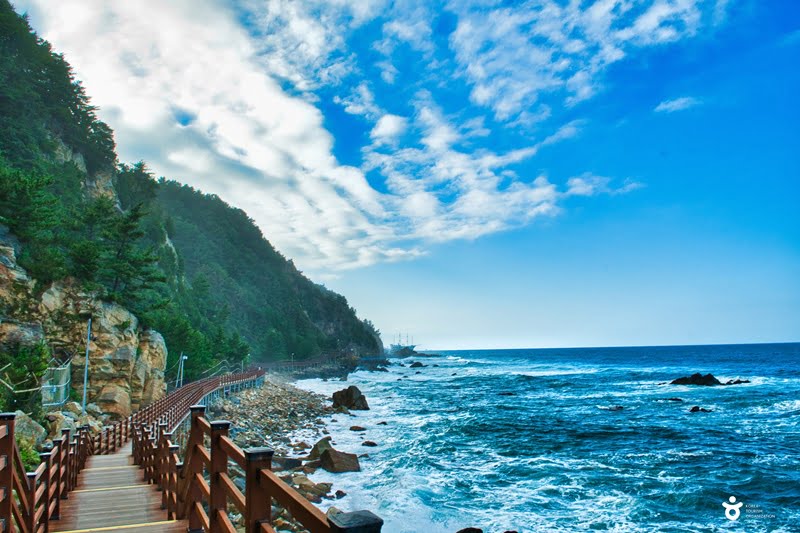 25 Lokasi Best Di Gangwon, Korea Selatan Yang Kaki Travel Mesti Pergi 8 Jeongdong Simgok Badabuchae gil Trail Gangneung