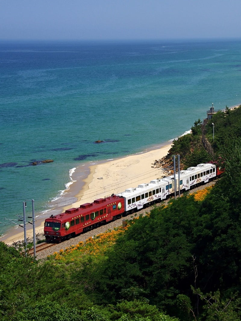 25 Lokasi Best Di Gangwon, Korea Selatan Yang Kaki Travel Mesti Pergi 9 Sea train