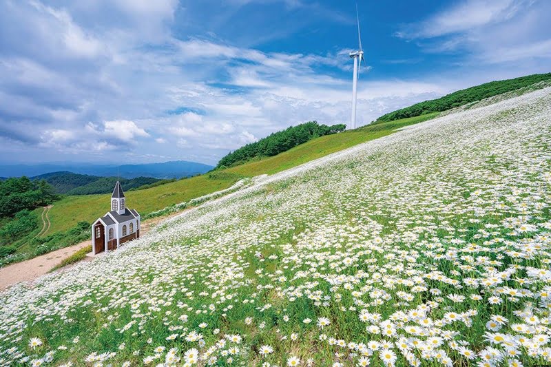 25 Lokasi Best Di Gangwon, Korea Selatan Yang Kaki Travel Mesti Pergi 26 Yukbaekmaijigi Pyeongchang