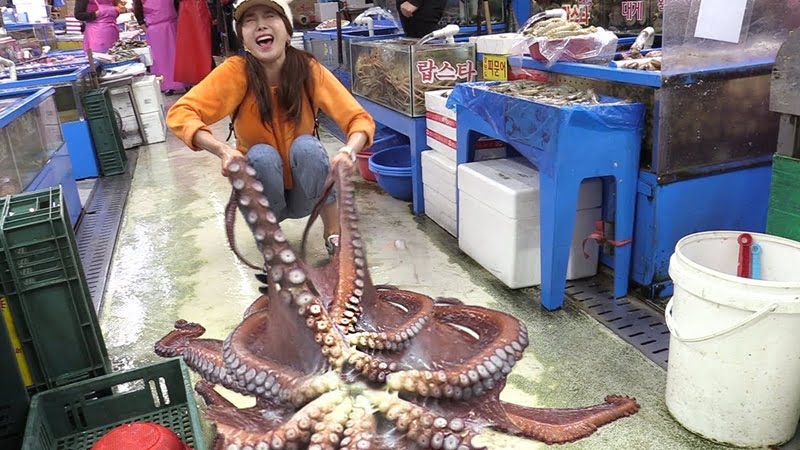 Sannakji: Budaya Makan Sotong ‘Hidup-hidup’ Di Korea 3 maxresdefault 2
