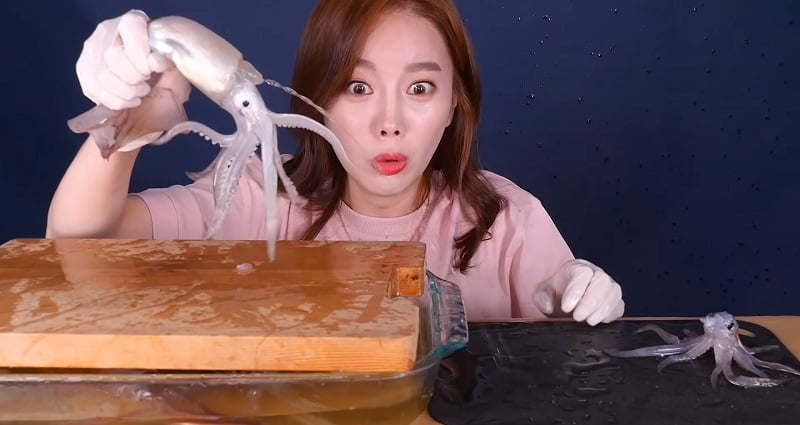 Sannakji: Budaya Makan Sotong ‘Hidup-hidup’ Di Korea 4 sdjyhgflaiwjdkaugfkauyhwdkahwkghfeature