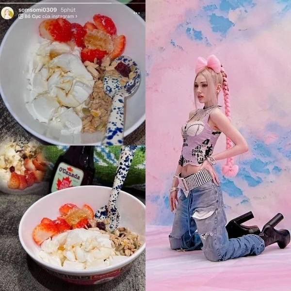 somi diet 17022022