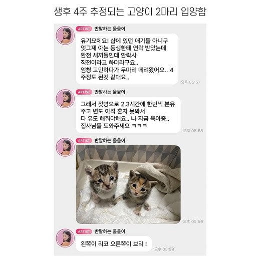 2 Anak Kucing Hampir ‘Dibunuh’, Tindakan Chorong Apink Dipuji Netizen 2 1662061542 d