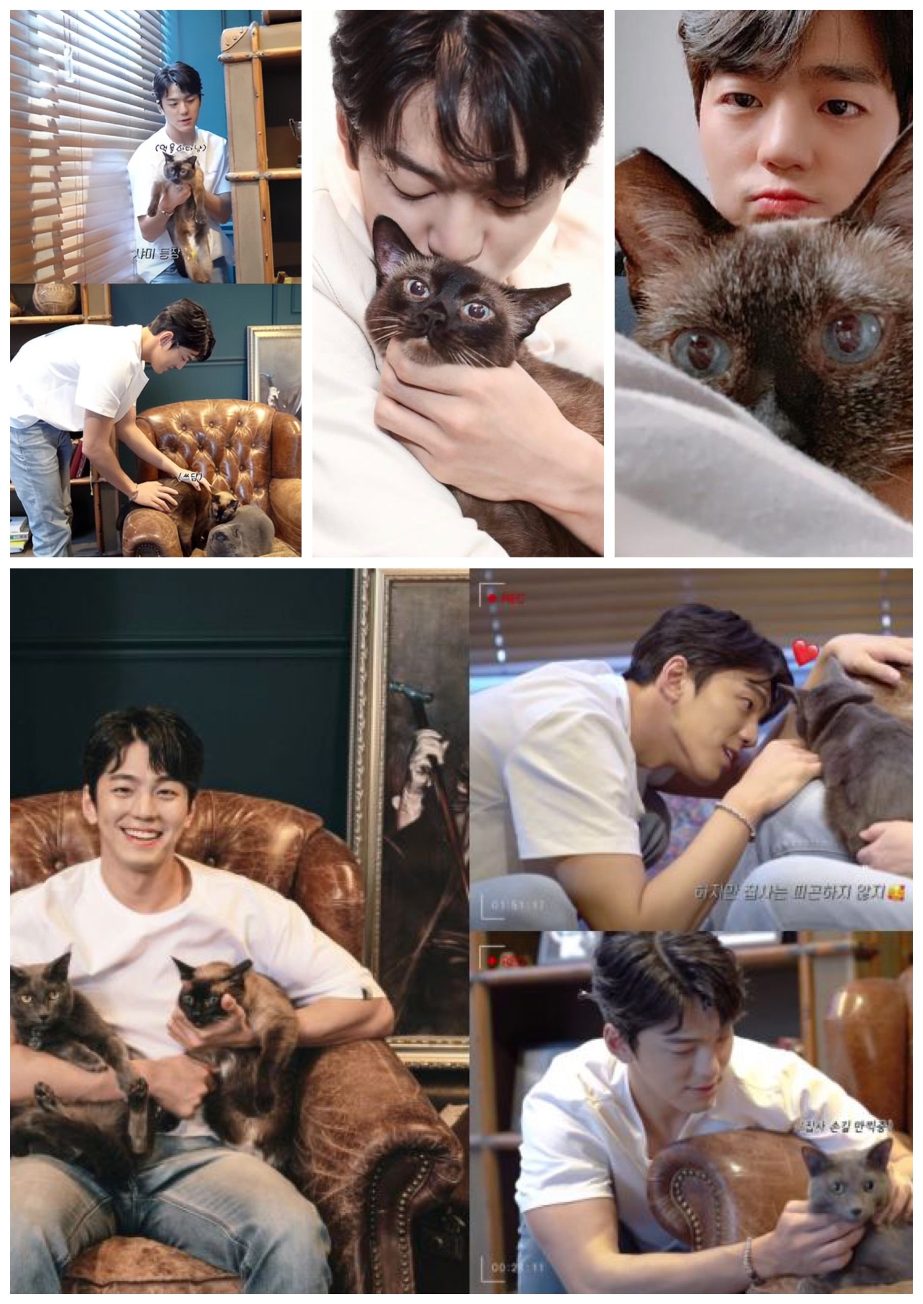 Menarik Tentang Kim Min Kyu 5 330DB2B4 BD78 44F0 815F 385C6828117A scaled