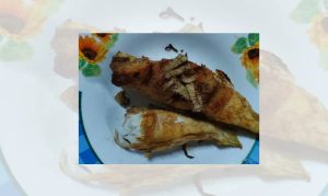 Wanita Warga Emas Maut Selepas Makan Ikan Buntal Di Paloh, Tidak Tahu Ikan Digorengnya Beracun 1 ikanbuntal