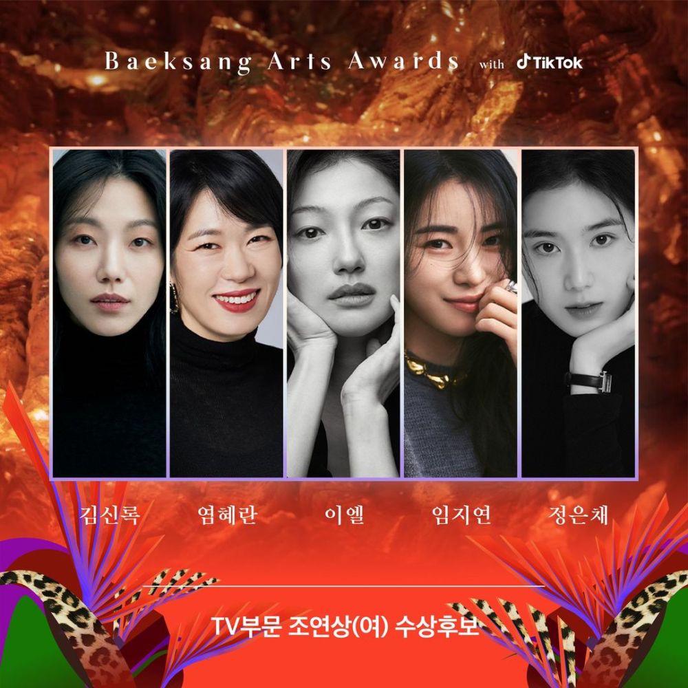 10 Pencalonan Kategori Drama Untuk Baeksang Arts Awards 4 BA75D0A5 8C5B 4F39 9B57 9C4650F14319