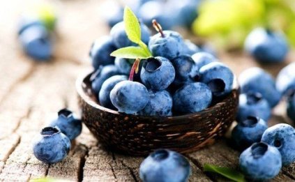 8 Makanan “Superfoods” Untuk Mencegah Penyakit 1 IMG 2624
