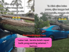 “Kita Tengok Pun Rasa Nak Nangis”-Kejadian Pokok Tumbang Undang Simpati Netizen