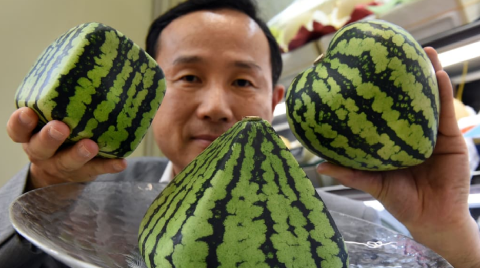 Buah Anggur Paling Mahal Di Dunia! Harga Untuk Sebiji Sahaja Sudah Mencecah RM1,157 1 Screenshot 2023 05 30 121749