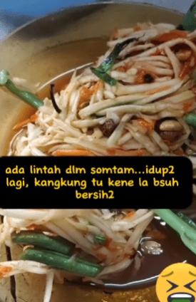 "Sbbtu Takut Nak Makan Kangkung"-Pacat Ditemui Dalam Somtam Tarik Perhatian Netizen 1 pacat1