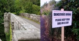 “Overtoun Bridge”, Kisah Benar Tentang Anjing Yang Bunuh Diri 1 IMG 9109