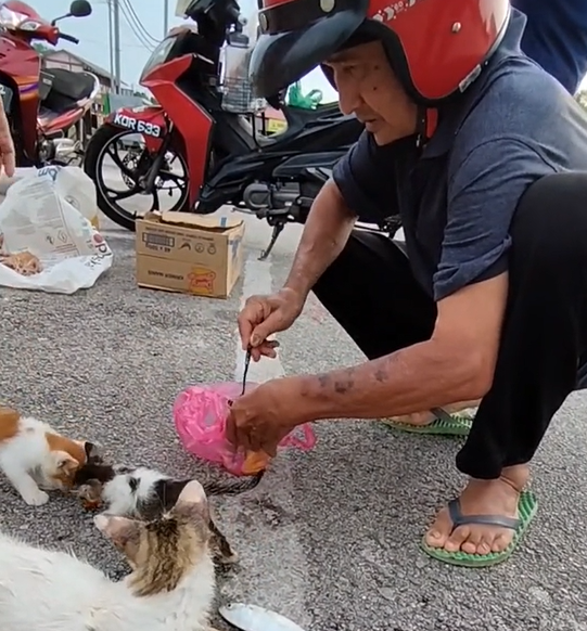 Dua Wanita Terkejut Jumpa Kucing Hampir Lemas Dalam Bungkusan, Buat Ramai Yang Sebak 1 Screenshot 2023 06 25 222057