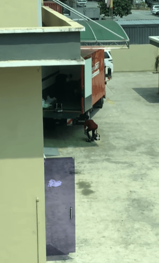 "Patutlah Barang Banyak Pecah"-Rakaman Baling Barang Di Warehouse Tarik Perhatian Netizen 1 barang1
