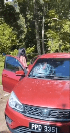 "Ini Baru Namanya Durian Runtuh"-Akibat Parking Bawah Pokok Durian 1 durian