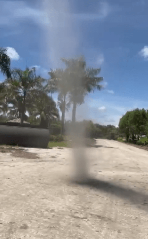 Dust Devil, Puting Beliung Kecil Di Miri Tarik Perhatian Netizen 1 dustdevil