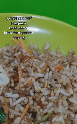 "Sebab Tulah Aku Taknak Mkn Kedai Mamak"-Nasi Goreng Ada Ulat, Patutla Kedai Tak Ramai Orang 1 mamak1