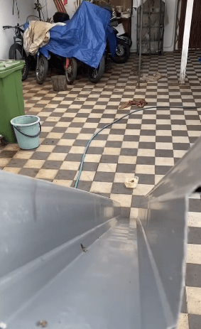 "Pehh Siap Ada Slide"-Bagi Makan Anjing, Netizen Tertarik Dgn 'Slide' Makanan 1 slide