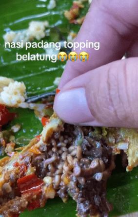 "Ni Dah Habis Mkn Baru Perasan Allahu."-Ulat Penuh Pada Ayam Buat Netizen Meremang 1 ulat1 1 1