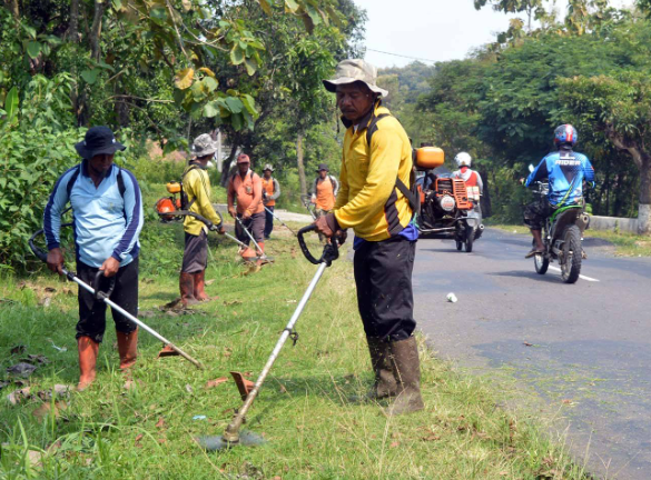 Lelaki Ini Puji Cara Pekerja Jepun Mesin Rumput Di Tempat Awam, Sekali Responnya Buat Ramai Yang Setuju 1 Screenshot 2023 07 17 111955