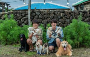 4 KMovie Terbaru Hanya Di Viu 16 daebaking.co kmovie