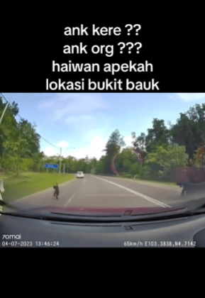 haiwan