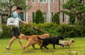 4 KMovie Terbaru Hanya Di Viu 15 optimize 740×493 Google Chrome