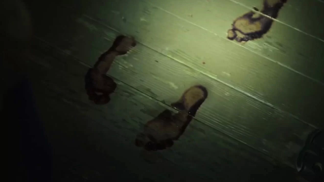 The Night House, Filem Horror Misteri Psikologi di Disney Hotstar 3 IMG 8967