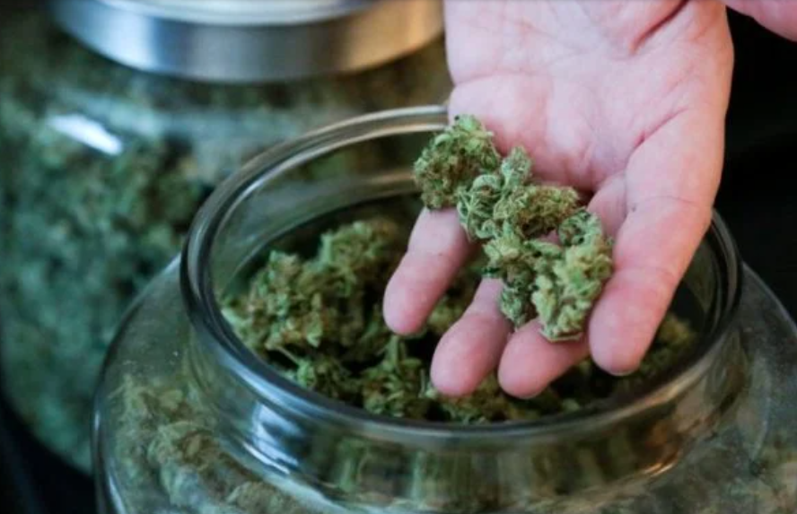9 Kesan Buruk Pengambilan Ganja Yang Anda Tidak Tahu 1 Screenshot 2023 08 24 100849