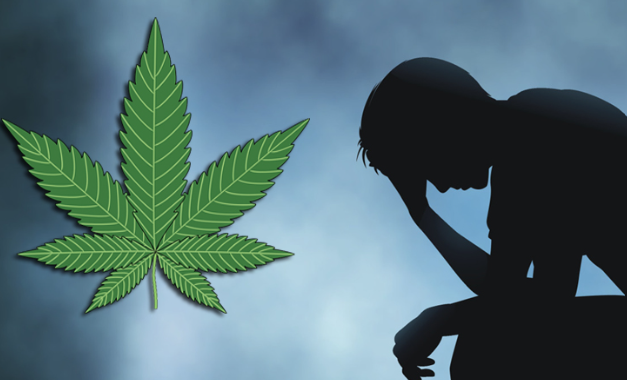 9 Kesan Buruk Pengambilan Ganja Yang Anda Tidak Tahu 5 Screenshot 2023 08 24 101325