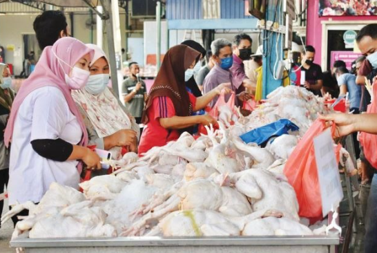 Harga Ayam Masih Kekal Sejak Oktober 2022 1 ayam