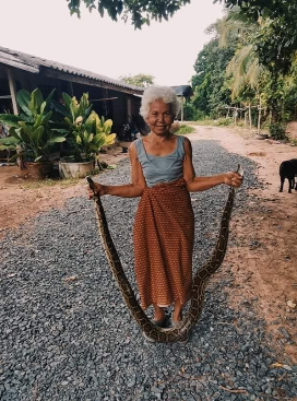 Penyelamat Komuniti, Nenek Tua Selamba Tangkap Ular Gergasi Guna Tangan 1 ninik