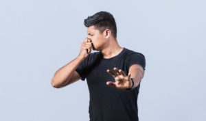 thumbnail smell article 1653636840
