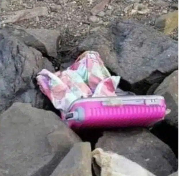 Takut Kantoi Beranak Luar Nikah, Penyanyi Wanita Usia Awal 20an Sumbat Bayi Dalam Luggage Sebelum Buang Di Kebun 1 beg mayat
