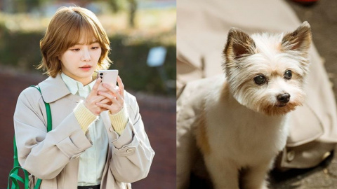9 Watak dalam Kdrama yang Boleh Bertukar Jadi Makhluk Lain 1 IMG 0366