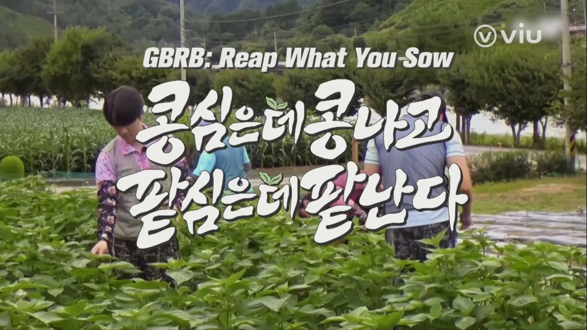 9 Fakta Menarik “Reap What You Sow”, Variety Show Menampilkan Lee Kwang Soo, Lee Kwang-soo, Kim Woo-bin, Doh Kyung-soo, Kim Gi-bang 2 IMG 8796
