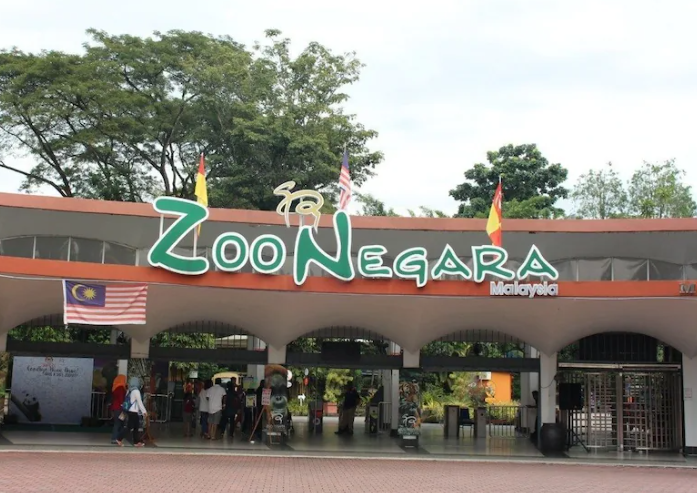 "Capybara Terlepas, Oyen Pula Hilang"-Lihat Apa Tindakan Pekerja Zoo Negara Ini 1 Screenshot 2023 10 22 152909