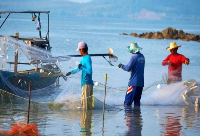 Rezeki Nelayan, Lelaki Tak Sangka Bapa Saudara Berjaya Temui Ikan Selampai Seberat 14Kg 1 Screenshot 2023 10 25 103228