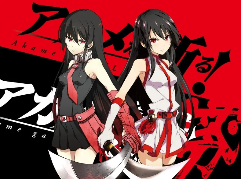 13 Fakta Menarik Akame Ga Kill, Kisah Yang Kejam dan Menyedihkan 5 IMG 0940