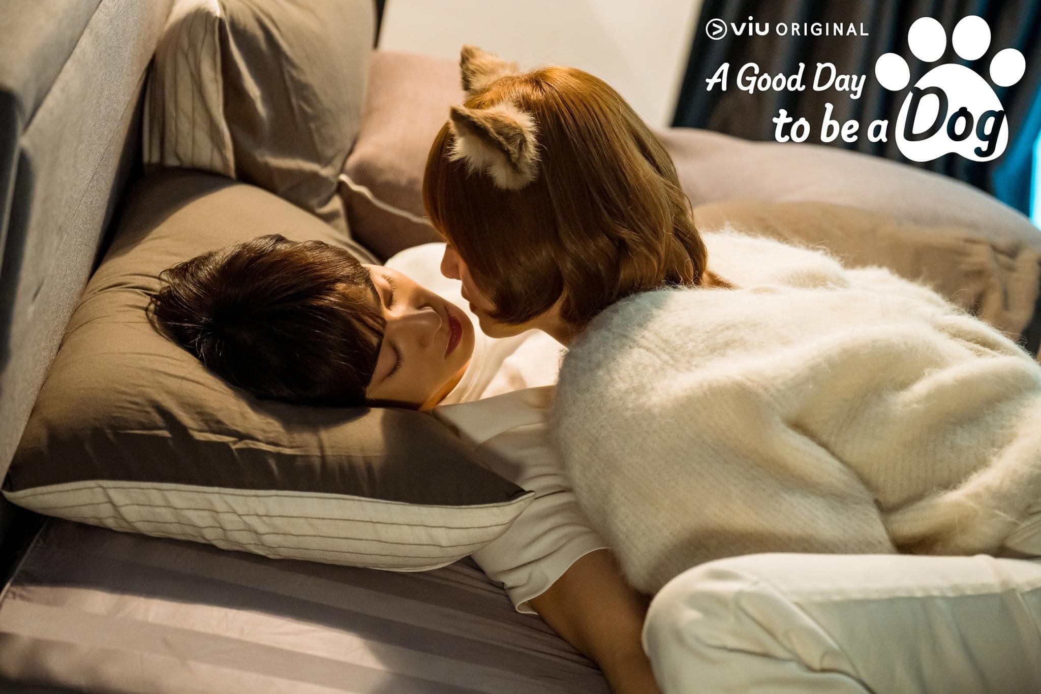 Cha Eun Woo dan Park Gyu Young Semakin Rapat dalam A Good Day to Be A Dog 2 A good day to be a dog