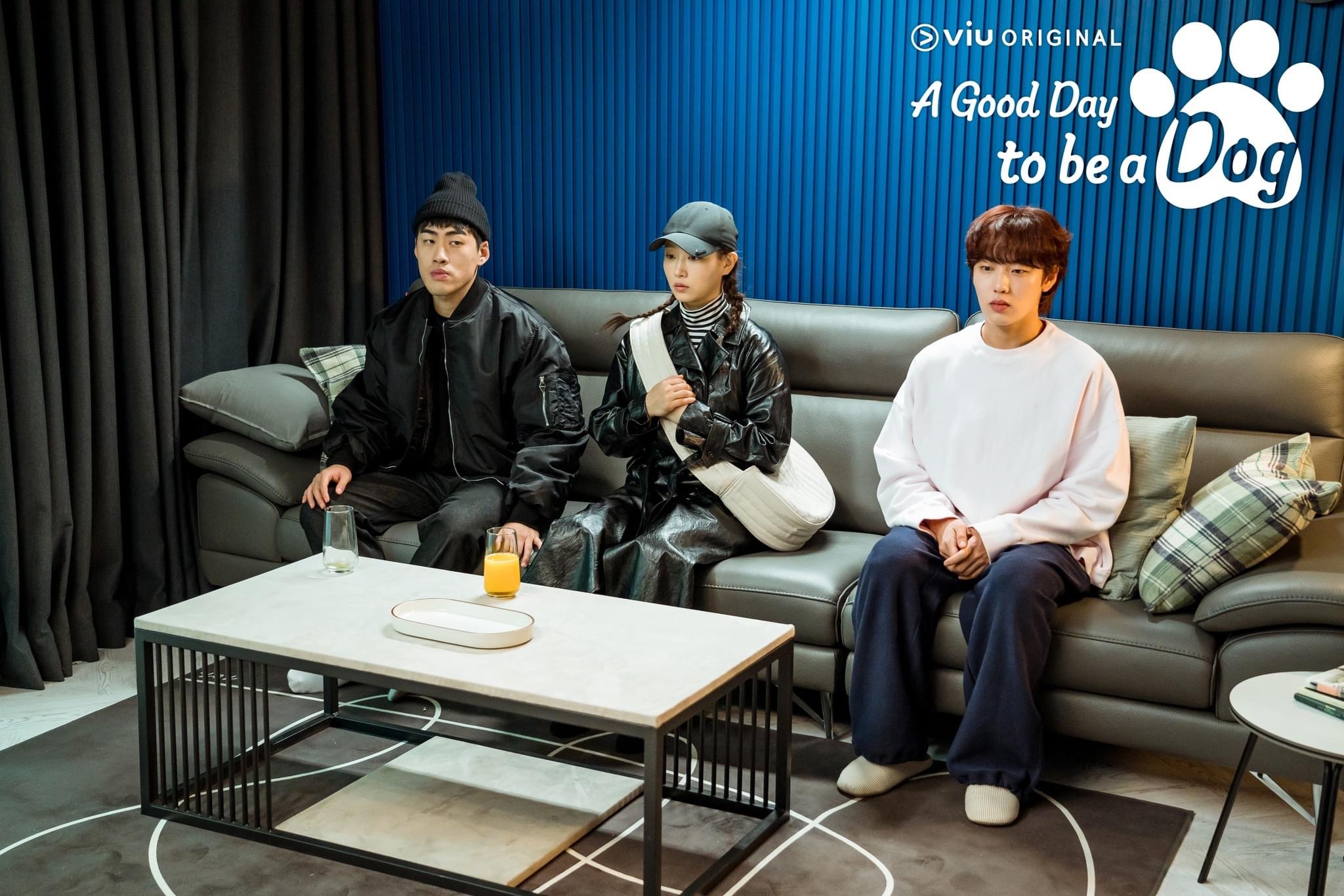 Cha Eun Woo dan Park Gyu Young Semakin Rapat dalam A Good Day to Be A Dog 3 IMG 1539