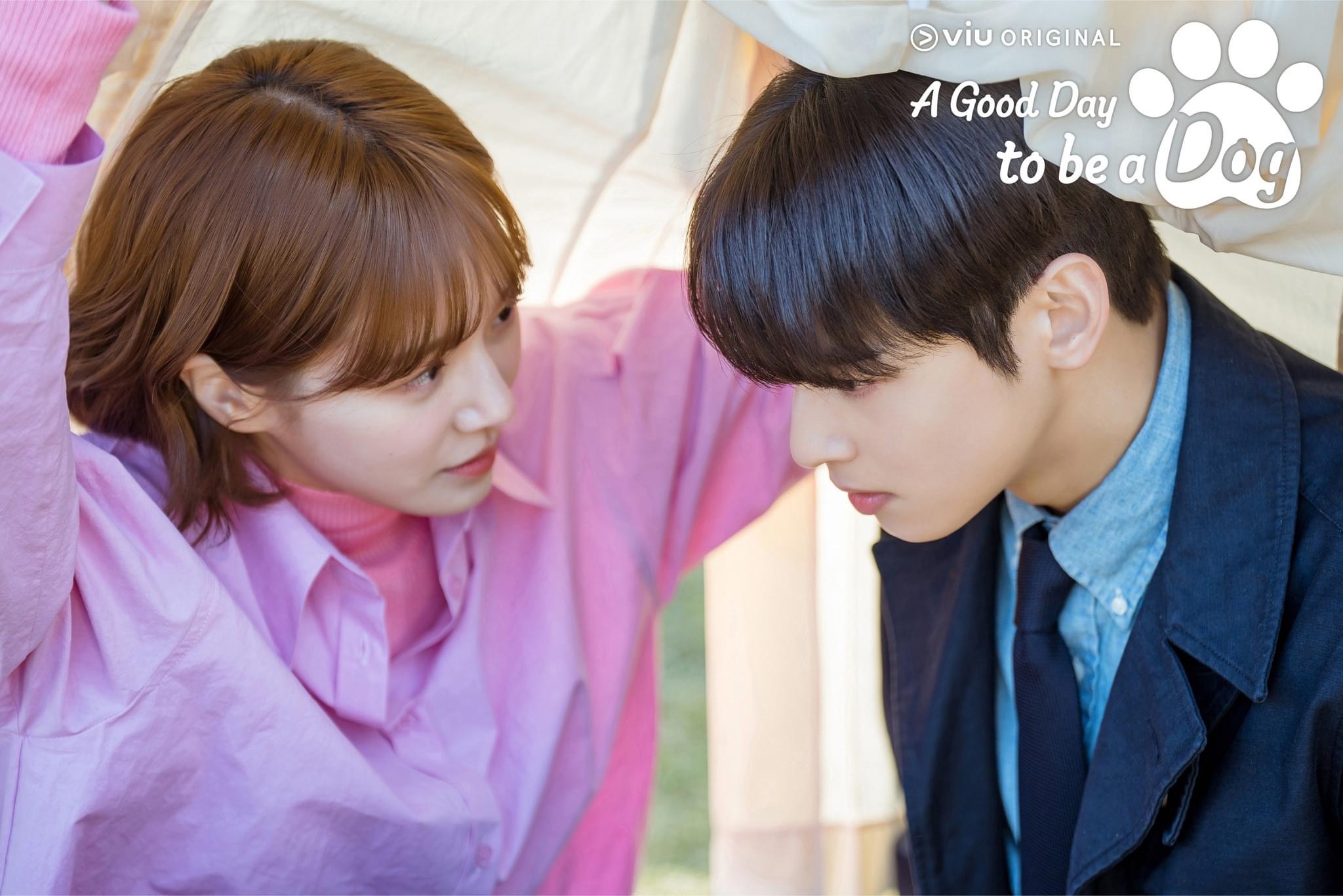 Cha Eun Woo dan Park Gyu Young Semakin Rapat dalam A Good Day to Be A Dog 4 IMG 1542