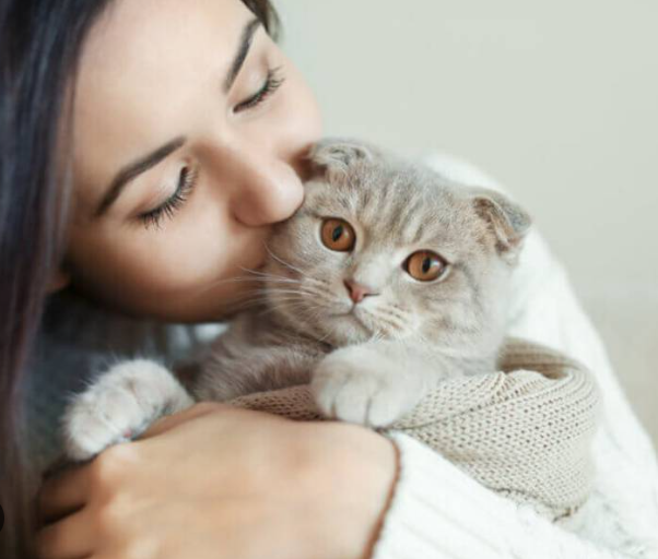2 Bulan Kucing Kesayangan Hilang, Sekali Reaksi Kanak-Kanak Ini Jumpa Semula Haiwan Peliharaannya Buat Ramai Sebak 1 Screenshot 2023 11 03 111053