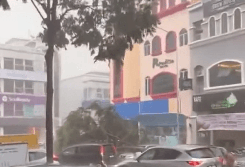 Detik Rakaman Pokok Tumbang Di Kawasan Sunway Giza Raih Perhatian 1 tumbang2