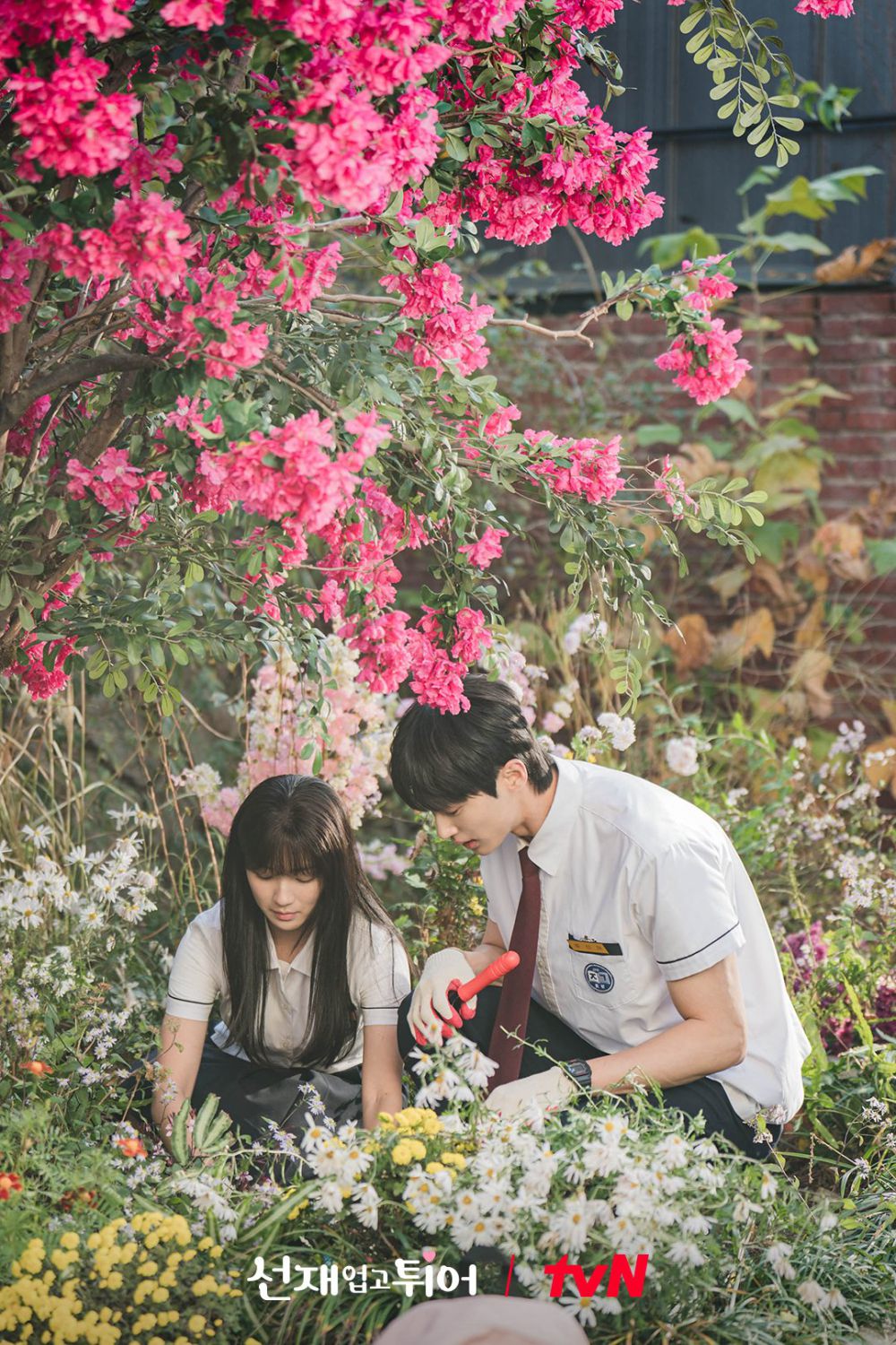 Lovely Runner, Kdrama Paling Banyak Ditonton Ketika Ini Walaupun Rating Merosot Sedikit di Episod 7-8 6 IMG 4284