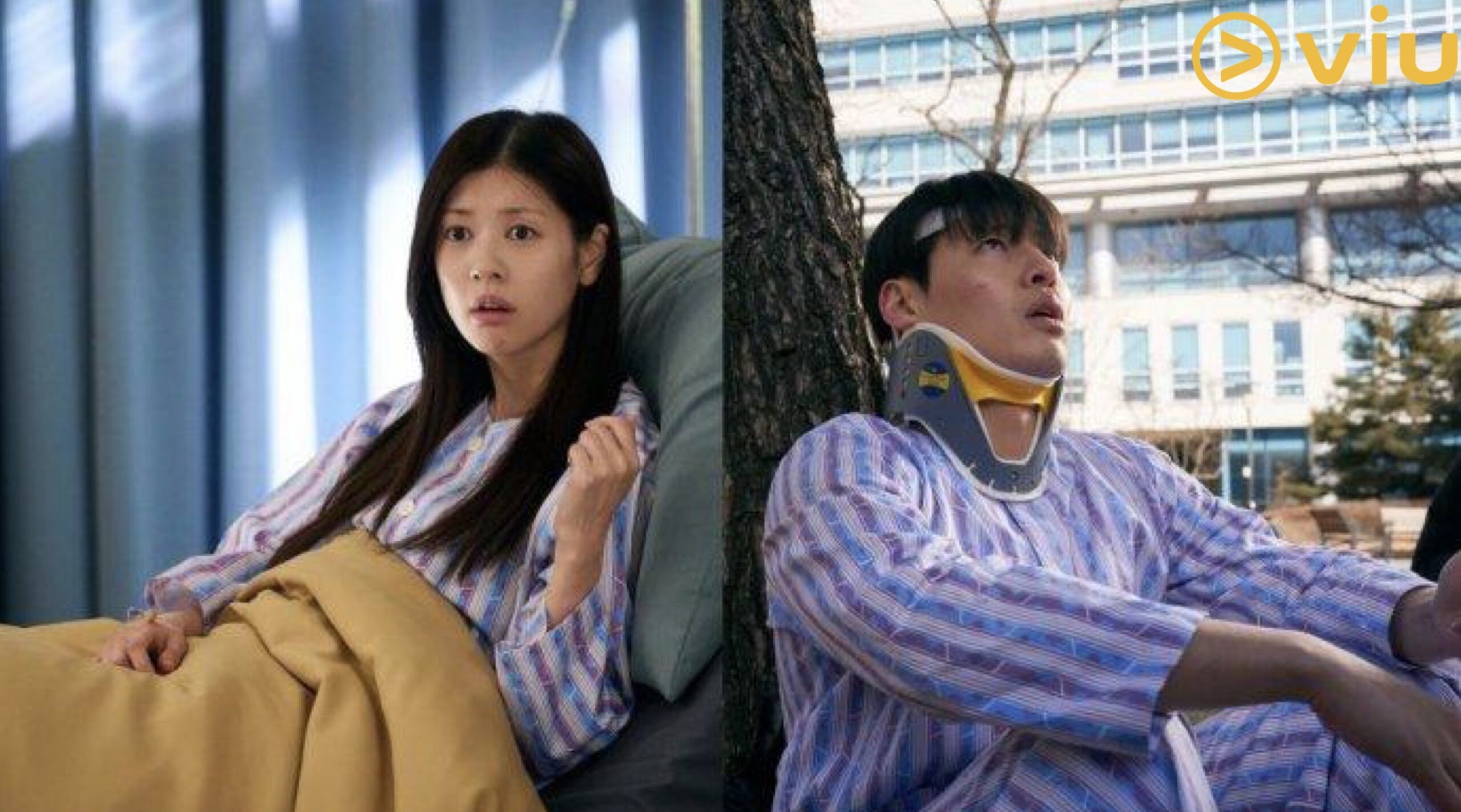 KMovie Box Office "Love Reset" Kini di Viu - Kisah Lucu Pasangan Amnesia Yang Akan Bercerai 3 IMG 4579 scaled